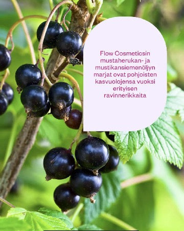 Balm to Milk cleanser, Puhdistusvoide 120 ml