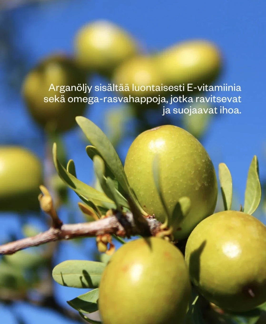 Organic Argan Oil, Monitoimiöljy 100 ml